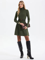 Belted Ribbed Turtleneck Knit Mini Dress