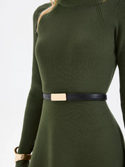 Belted Ribbed Turtleneck Knit Mini Dress