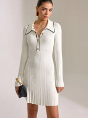 Contrast Trim Collar Long Sleeve Mini Dress