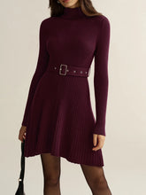 Belted Turtleneck Ribbed Knit Mini Dress