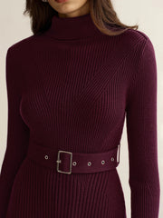 Belted Turtleneck Ribbed Knit Mini Dress